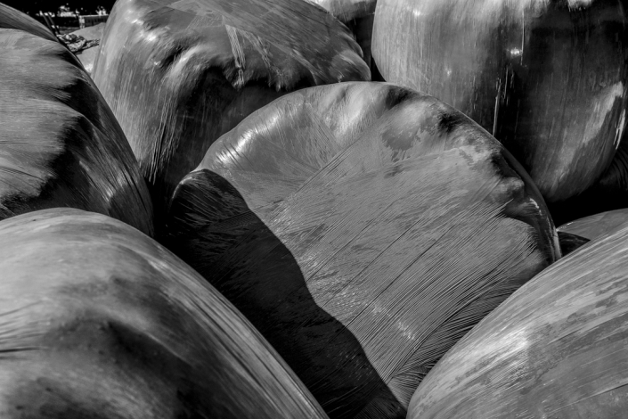 Web_©Manu_Gauthier_DSCF2666-Modifier