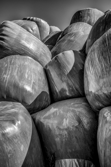 Web_©Manu_Gauthier_DSCF2680-Modifier