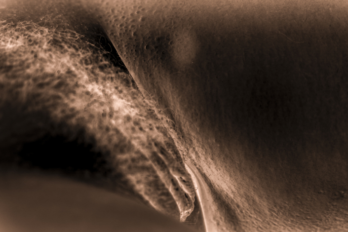 Web_©Manu_Gauthier_Web_©Manu_Gauthier_DSCF3476-Modifier